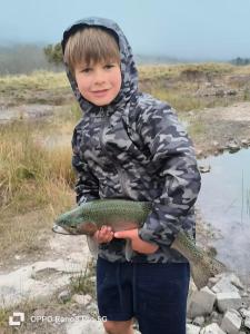Hogsback Misty Oaks Cottage