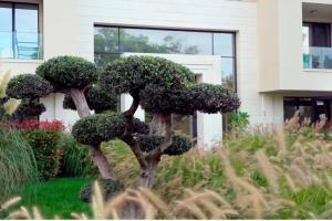 EXCLUSIVE St Constantine Suites