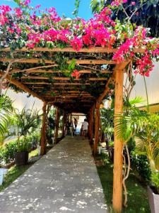 Solar Água Pipa Verão