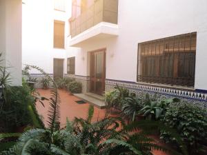CENTRICO Y ACOGEDOR APARTAMENTO CORDOBA
