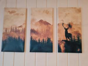 Ferienwohnung am Tiergarten