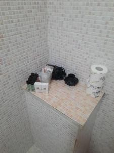 Double or Twin Room with Private Bathroom