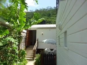 VANILLE REUNION - La Montagne