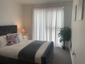 The Axium Superior Apartment