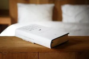 Poëziehotel Surplace - 15 min van Pairi Daiza & industriezone Ghislenghien - 阿特