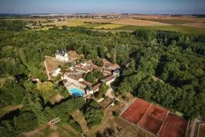 Hotel The Originals Château de Perigny - Latillé