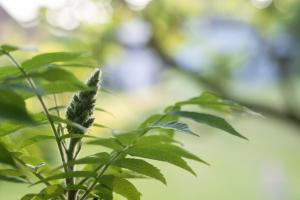 La Bergerie Chambre dhôtes