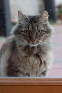 La Bergerie Chambre dhôtes