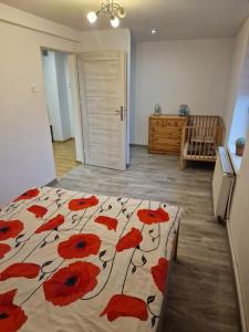 Przestronny apartament +siłownia