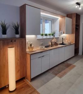 Willa Sowia nowe apartamenty z pięknym widokiem na góry i potok