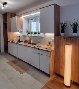 Willa Sowia nowy apartament z prywatnym tarasem i widokiem na góry