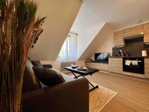 Appartement Centre-ville / 6 prsn / Bord du doubs / Au pied de la citadelle - Montfaucon