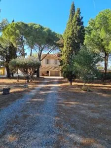 Mas de la vigne - Névian