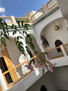 Riad LallaBaya
