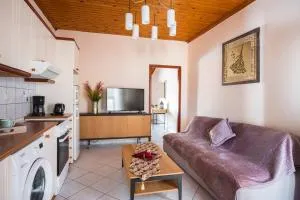 Cozy loft apartment - Vathý