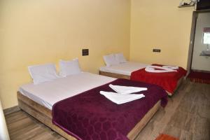 Redrock eco homestay
