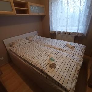Apartament Dunikowskiego 57m2