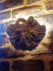 Suite entre los árboles Hotel Portal 360