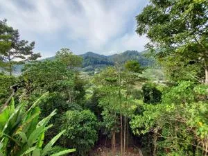 Safar Hillview - 武吉丁宜