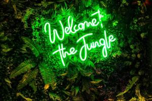 Appartements Tropical Jungle Loveroom Pau centre : photos des chambres