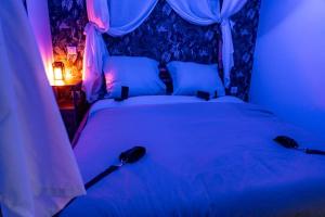 Appartements Tropical Jungle Loveroom Pau centre : photos des chambres