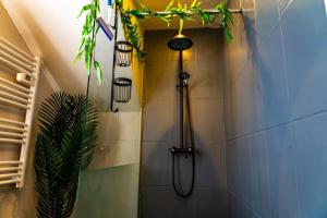 Appartements Tropical Jungle Loveroom Pau centre : photos des chambres