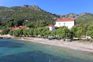 Apartments with a parking space Viganj, Peljesac - 21912