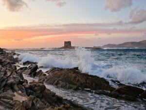 309 Le Saline - Stintino img36