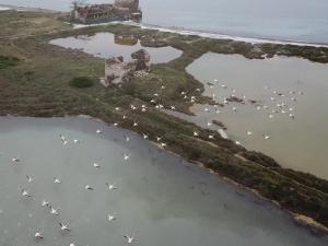 309 Le Saline - Stintino img35