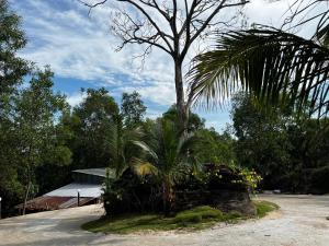 Ong Vinh House - Living Among Nature !