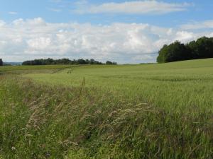 Sejours a la campagne Moulin De Chez Renaud : photos des chambres