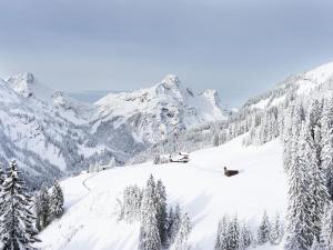 Wohnung in Schröcken nahe Ski Arlberg