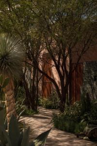 Quinta Amores alojamiento