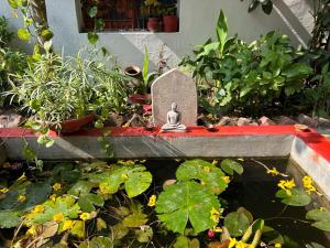 The Highvill Home Stay