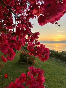 Ionian Sea View Studios by Hotelius