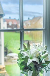 Rockpool cottage The Bay Filey, 3 bed sleeps 6 dog friendly