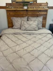 Apartament Ultracentral 2 Piata Muzeului Cluj-Napoca