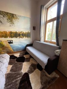 Apartament Ultracentral 2 Piata Muzeului Cluj-Napoca