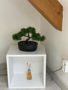 Esprit Jaune - Cosy studio Salengro - Sauna & Sport club