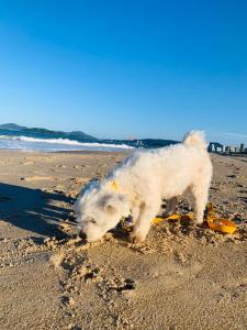 Pousada recanto da sereia