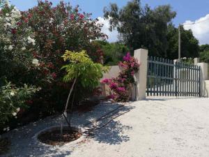Beachfront Oleanders House in Skala