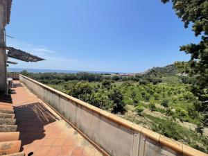 Tenuta baronale jò - sant'elia 4