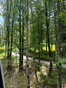 Didveli Gallery Apartment B_401 დიდველი გალერეა აპარტამენტი B_401