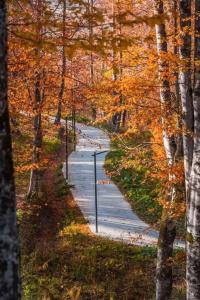 Didveli Gallery Apartment B_401 დიდველი გალერეა აპარტამენტი B_401