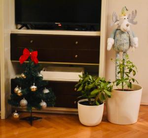 Apartman 23