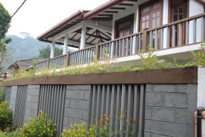 Self Cate Luxury Apartments