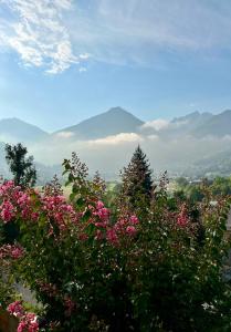 Appartements GS4 DUPLEX 4 PERS TERRASSE 5mn LUZ 15mn ARDIDEN : photos des chambres