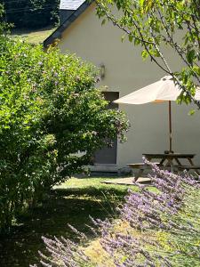 Appartements GS4 DUPLEX 4 PERS TERRASSE 5mn LUZ 15mn ARDIDEN : photos des chambres