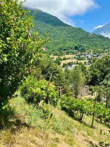 Appartements GS4 DUPLEX 4 PERS TERRASSE 5mn LUZ 15mn ARDIDEN : photos des chambres