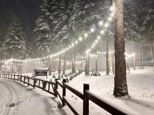 Boro Green Holiday Village